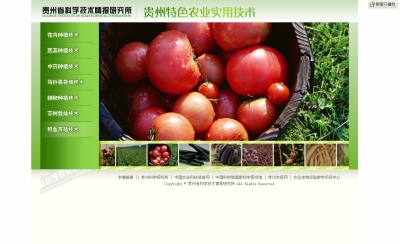 ũҵ��չ��ʽ���ִ���ҵת�䱾��Ʒ�Ƶ�������ũҵ��չ֮·5