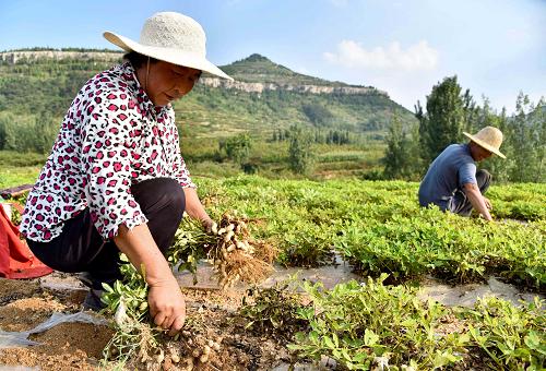 98գɽʡׯɽͤׯũɽջ