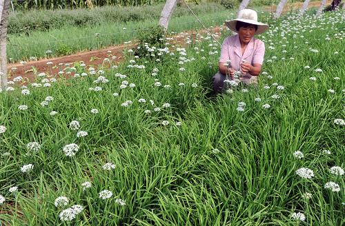 98գɽʡׯỳ̳ɽŴũڲվ²˻