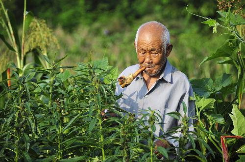 98գɽʡ̨иɽŸׯ¥ӿڴũڲ鿴֥鳤ơ