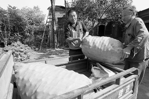 晋州老两口购买了两麻袋核桃,对张西平百余亩滞销的核桃来说只是杯水车薪。