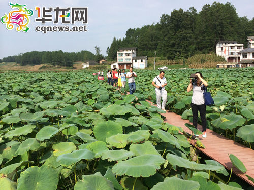 �ο����ھ������������ľջ�������ա�