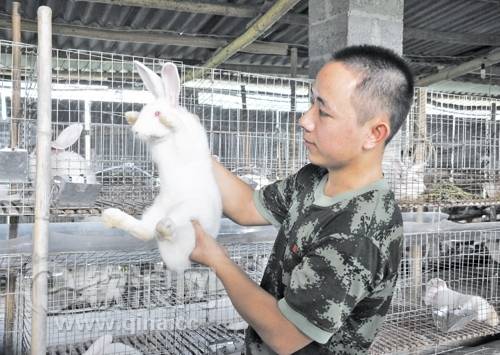 在梁安伟的努力下,他的肉兔养殖业越搞越大。