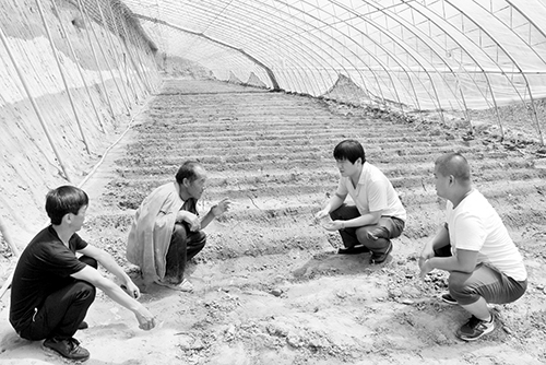 ͼΪί֯ũιۣϻϺֳڡ߲