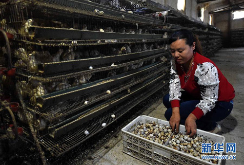 99գӱʡعҵ԰С̴ũڼʰȵ