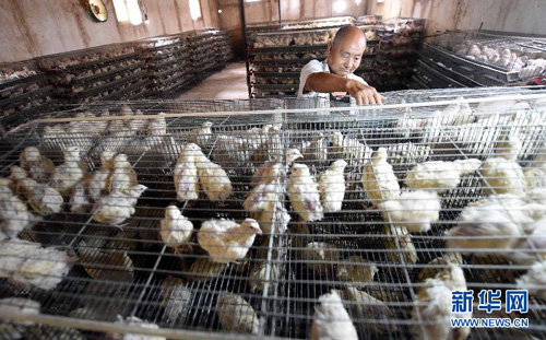 99գӱʡعҵ԰С̴ũᡣ