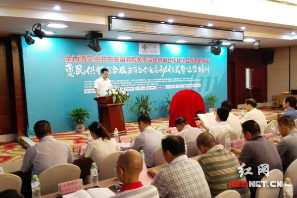(湖南惠民供销综合服务平台在长沙正式启动)