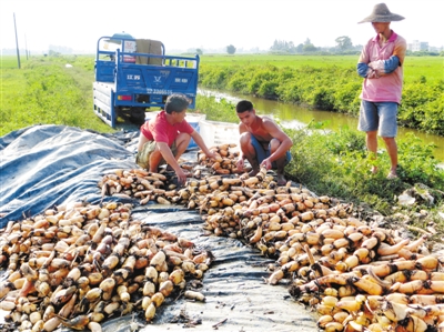 ũڳźͷϴ߼۹ӣֲ֧