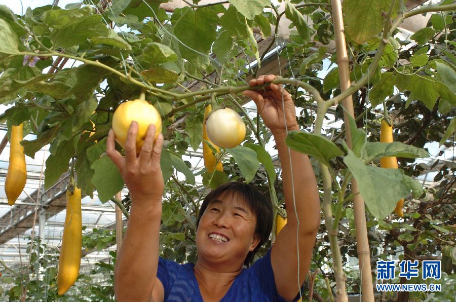 �ӱ����أ�ũҵ��ҵѭ��԰�ٽ�ũ����Ʒ����