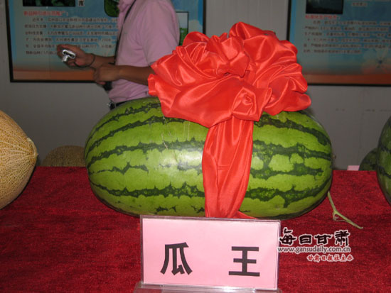 甘肃瓜州:全力创建省级现代农业示范区