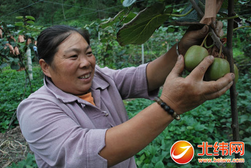 ƶԶ ſھ¸طչũҵҵƶ