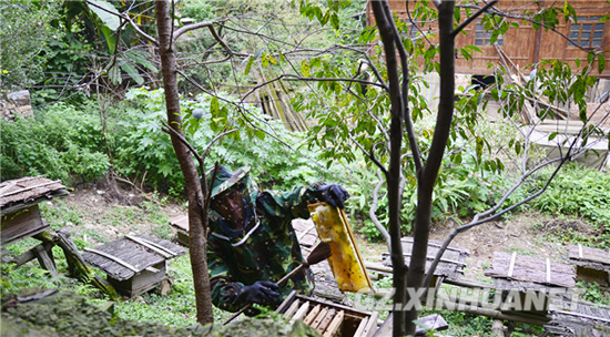 һװ10ŷƢɲϣÿɲ20