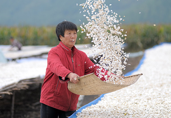 923գʮĽе֣ʡֿعųǰɹϹѡ