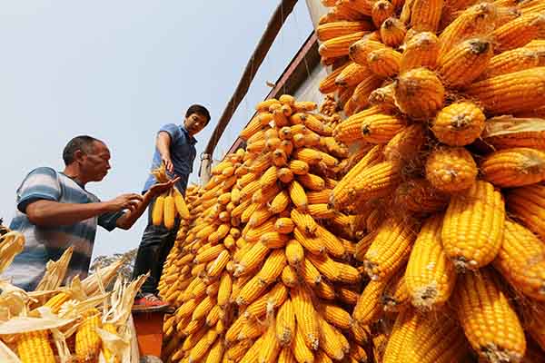 923գʮĽе֣ʡر緽ũջױſڡ