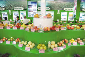 ��������Ʒ����չʾ��