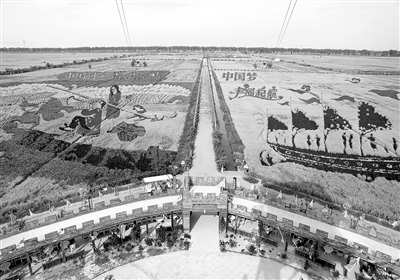 ̬ũҵ̽üǣ߽οռ䡱