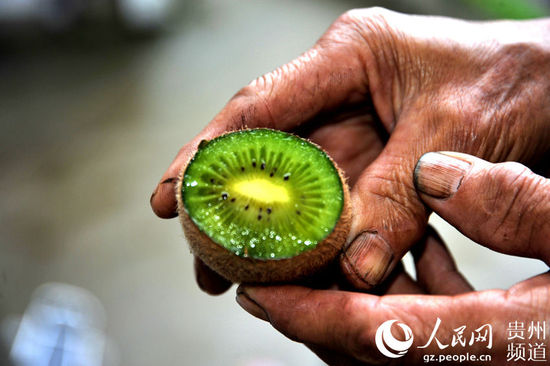 ͼп⨺֭۲ͼп⨺֭۲