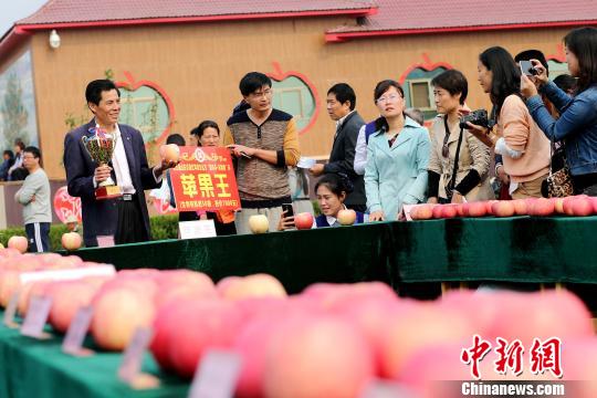 ͼΪ�����ɽ������Դ�족ƻ���Ļ����ϻ񽱵�����ƻ���� 