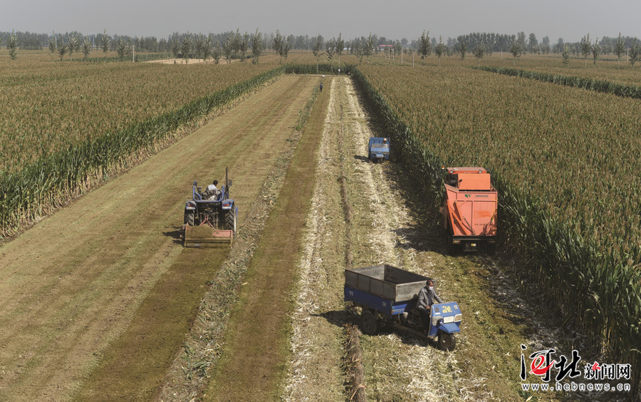 ͻеڱˮվũסô߱׼ũｨƣĶɴ800ӭһꡣ