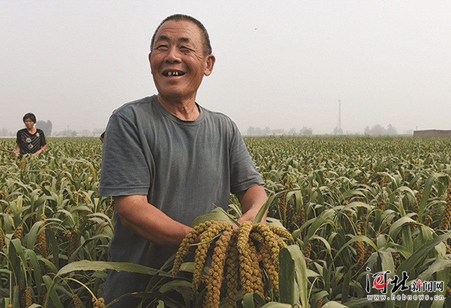 λĺӱũҵѧоԺʵ57ũͬǣԭשҤַظףĶ350 