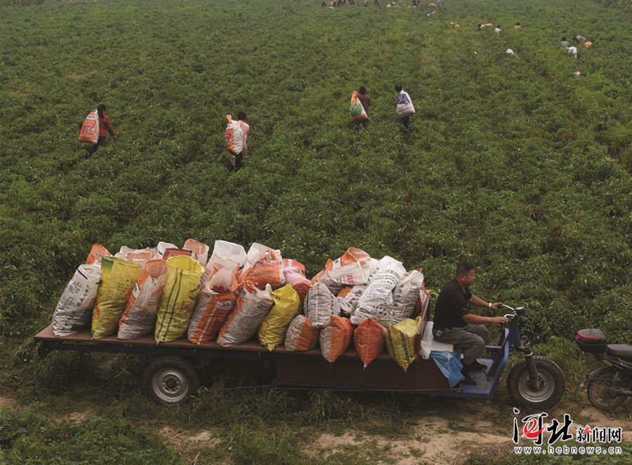 ذﺫͥũѧżӳĵ綯ջճı 