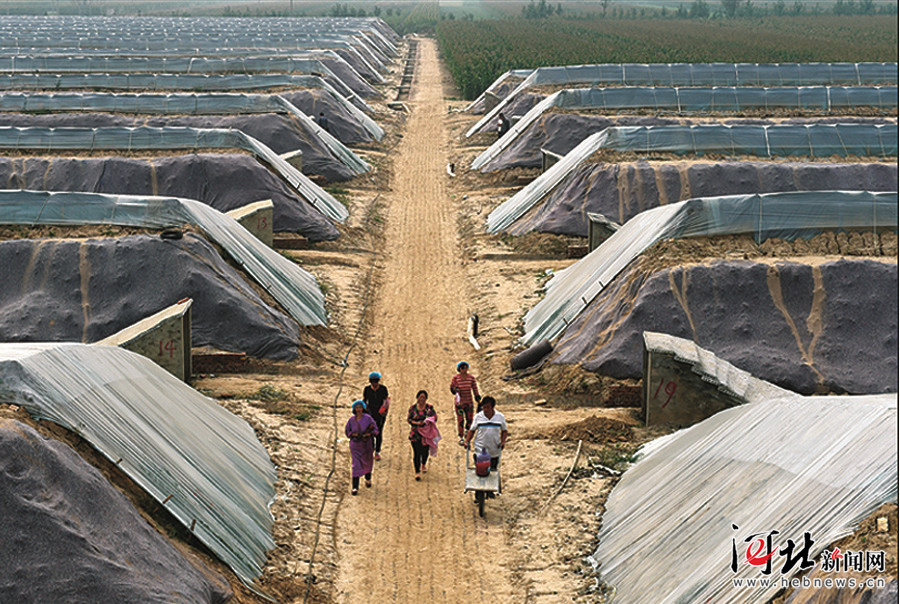 һҴڸ߱׼ũϽ걸ʩΪִũҵķչṩ˱ϡ