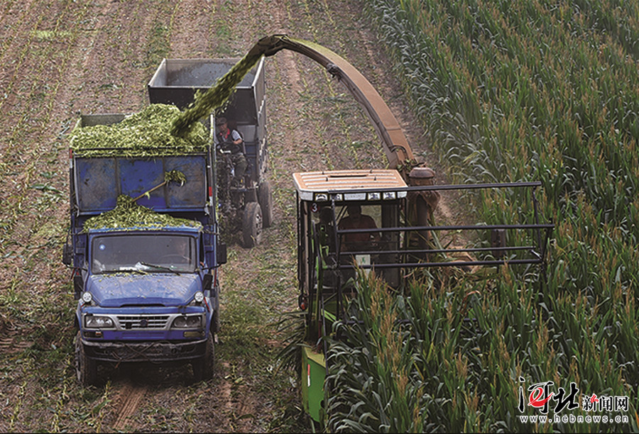 ũҵͨһʽոΪţۣ̬Ҹũ롣 