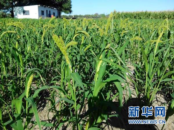 226ֲӽȣ331ճ룬46ʱá