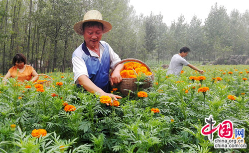 է�������ϲժ���پա�