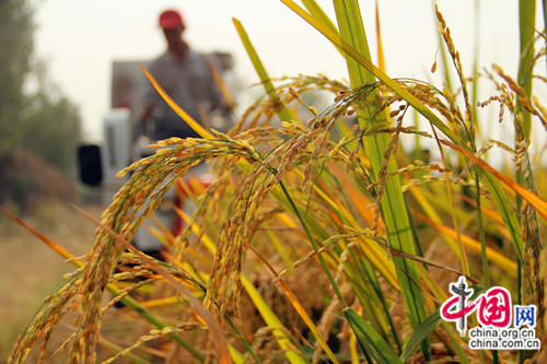 ���Ե���ǧĶ�л�ˮ�����أ����˻�е���ո�������