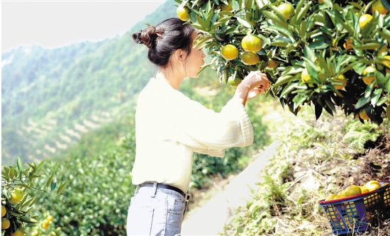 ƹ㷢չ۹ժ ٺǧٶг