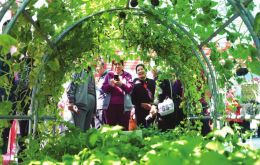 ص조һһƷչʾֳϹϴССϹο͡