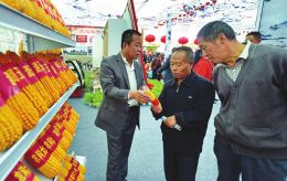 ͼũƴзĻ1ܵԱѯȺڽ⡣