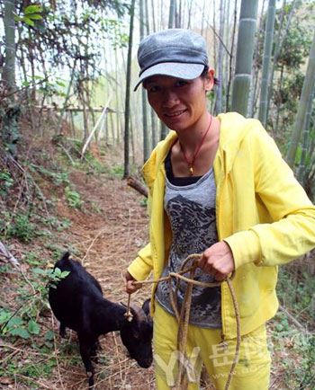 湖南岳阳县:美女养殖野山羊 打败野猪费思量