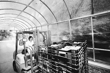 ҵĥӽСŮ˱һܿ泵ġŮӡ