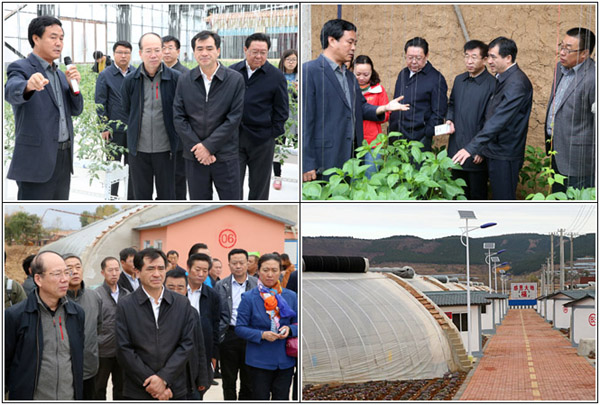 ũҵ2020걱гж߲Ըʴﵽ50%