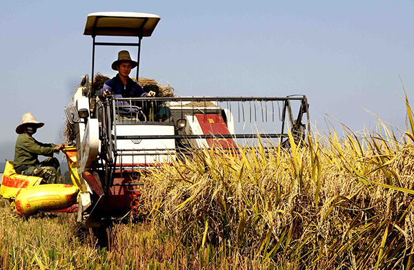 1022գʡ˫Ϫӱũʻũո