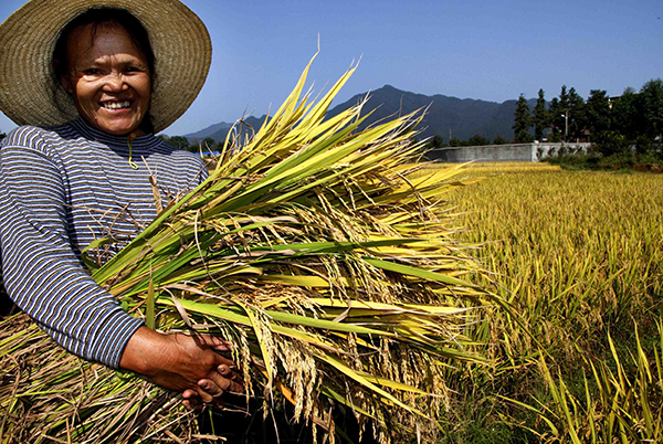 1022գʡ˫Ϫӱũʻũո