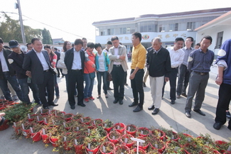 ˮ��������ʾ�����ۺϷ���Ч����85%