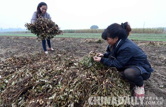 ȷİͥũɸҵ̬ ɫũƷ׷