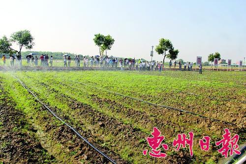 ƽ̶ļ߲ذװˮһ廯ʩ