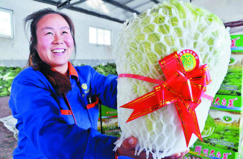 ��Ʒ���ݴ�ײˡ� 