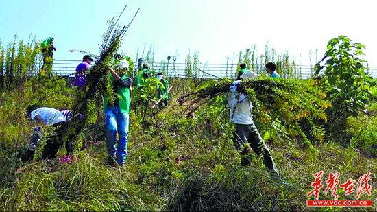 1017գɳ400־Ը潭ӵôһ֦ƻ