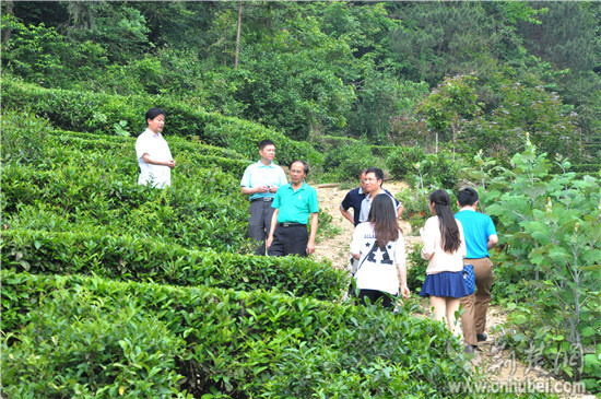 台湾农业专家廖树宏先生进驻润禾指导扶贫