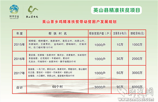英山茶乡鸡精准扶贫项目发展规划