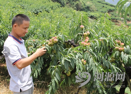 ��ƽӥ�����ҳɹ��ҵ�����־��Ʒ