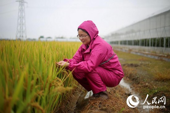 ĿǰϺũίĿⶹˮĸЧģʽԺԱ˵ȱҲԸӲˮֲ