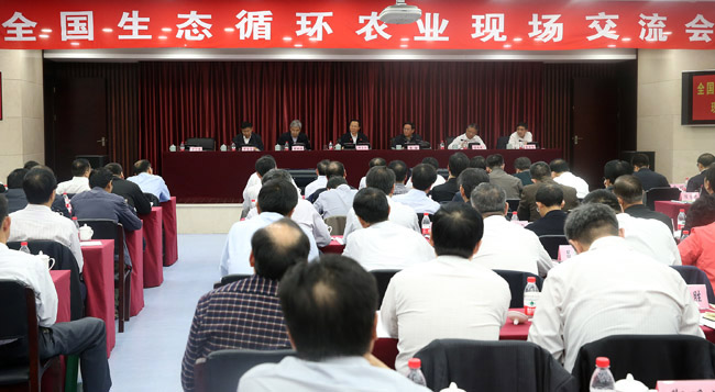 ǿǿ̬ѭũҵȸθ ȫƶִũҵϿɳչ֮·