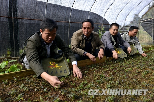 112գȺͬСפ幤Ž׵ƶկʯ鿴ʯ糤