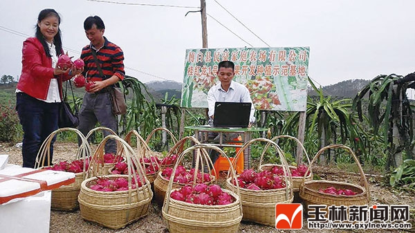 һͻգǰũժȨһͨȫء